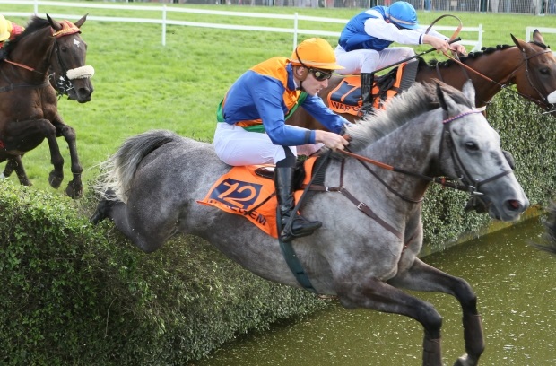 Belgio. Festa a Warengem questo martedì con il Grand Steeple Chase des Flandres, in pista il campione della corsa Taupin Rochelais opposto all’allievo di Macaire Baltiko Prince e al Papot Amirande