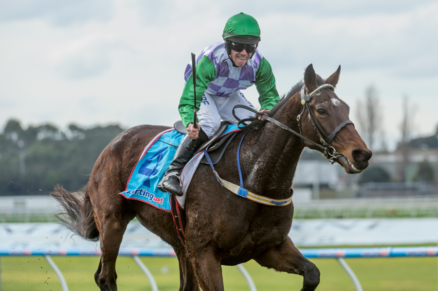 Australia. Wells leggenda, eguaglia il campionissimo Bashboy imponendosi per la terza volta nel Grand National Steeple Chase australiano disputato sul circuito di Ballarat, battuto l’ottimo Over The Yardam al terzo posto Bold Zamour