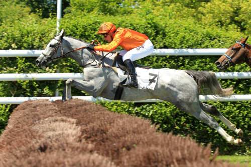 Italia. La Gran Corsa Siepi di Merano e il Premio delle Nazioni gli eventi principali del sabato a Maia alla vigilia del Gran Premio Merano Alto Adige. Due corse altamente spettacolari con tanta incertezza, nel pomeriggio in pista anche i gentlemen sulle siepi