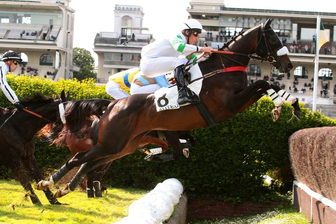 Francia. Auteuil apertura con Perfect Impulse facilmente vittoriosa contro Mallorca e So French nel Prix de l’Orléanais. Conferme per Jazz In Montreaux nel Mélanos e del tre anni Pirate de Rheu sullo steeple