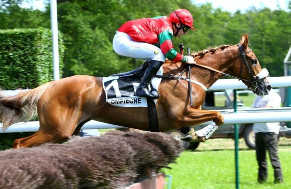 Francia. Tre anni all’esordio sullo steeple nel martedì di Compiégne, la coppia della Hamel Stud, Born Has e Royale Marie Has contro l’allieva di Francois Nicolle Envoyé Special