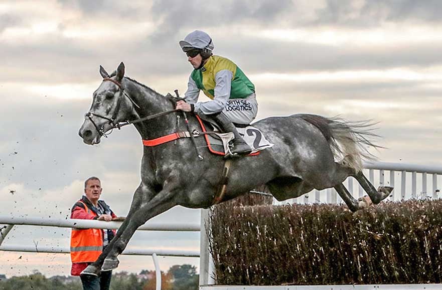 Inghilterra. Riaprono Cheltenham ed Aintree, domenica nel Merseyside un handicap di secondo grado ben frequentato sullo steeple