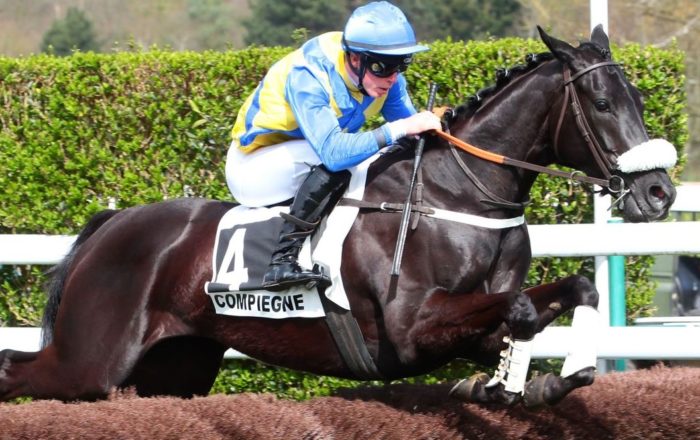 Italia. Merano ha chiuso i battenti con la seconda perla di Defit D’Estruval nello Steeple Chase d’Italia, dopo il Vanoni l’italo francese domina l’ultima pattern di Maia, nulla da fare per il principale antagonista Ole Caballero. Chiusura ad hoc anche per Lydia Olisova e Alessio Pollioni