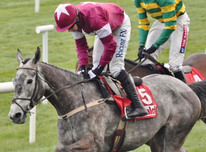 Irlanda. Ryanair Gold Cup a Fairyhouse senza Footpad. Willie Mullins resta in lista d’attesa con otto iscritti sui quindici rimasti, Elliott ne ha quattro di Giggistown ma Petit Mouchoir sarà il cavallo da battere