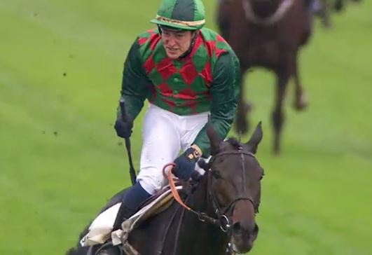 Francia. Ad Auteuil il detentore del titolo Alex de Larredya respinge Device in un finale trepidante del Grand Prix D’Automne, Macaire non riesce a vincere questa classica d’Autunno