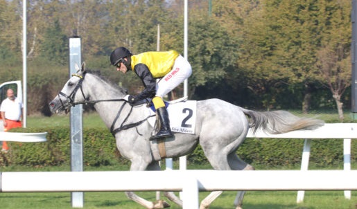 Italia. Merano, Champ de Bataille senza sforzo nel Lord Madonna batte il compagno Temperament, sfortunato Aventus. Cheap Thrill eccellente sullo steeple per i quattro anni, Fly Filo Fly ok nel cross, Awesome To Honor ottima impressione fra i tre anni