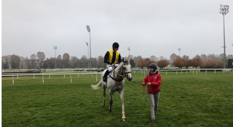 Italia. Finale da brividi nella Gran Siepi a Milano dove Champ de Bataille e Pepi Vana freddano Kifaaya. Nel Berlingeri il missile ceco Arkalon dice no all’ottimo Live Your Life, Lainate vincitore top Northerly Wind, Tagliabue nelle mani di Holcak grazie alla passeggiata della femmina Flower Of Love