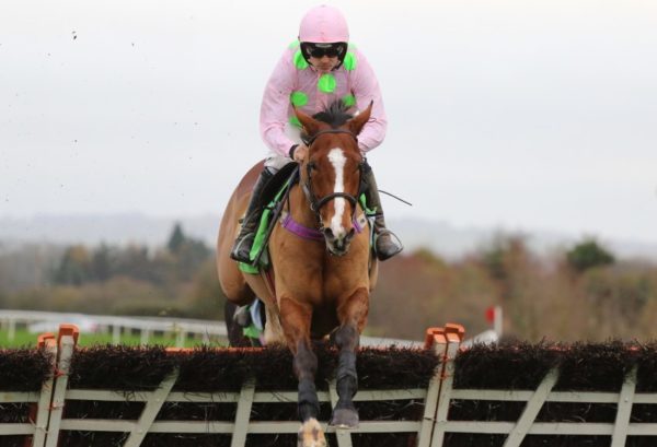 Irlanda. Ritorno dall’inferno per il fenomenale Faugheen, 665 giorni dopo la sua ultima apparizione il campione dei Ricci vince le Morgiana Hurdle a Punchestown