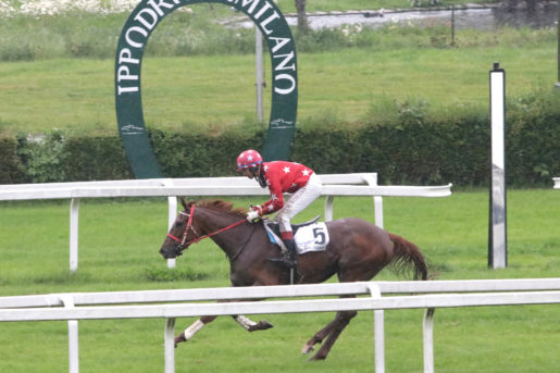 Italia. Domenica d’ostacoli a San Siro, Milano torna a saltare con quattro corse due delle quali riservate agli esordienti, il tradizionale Corona Ferrea e Primi Salti. Nel Brivio sfida gran siepi, cross country in apertura di programma