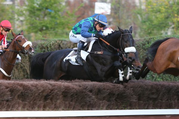 Francia. Grand Steeple Chase de Compiégne, Palougas chiamato all’impresa contro Saint Goustan Blue e The Stomp dopo aver vinto la Grand Course de Haies