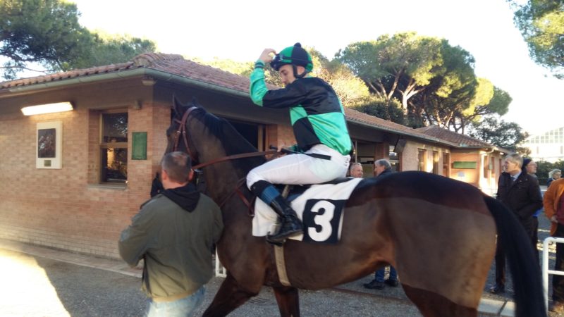 Italia. Finoras trionfa nella Gran Siepi di Grosseto con Alessio Pollioni, l’allievo di Melanie Frank batte i cechi Toward Glory e l’atteso Treizor du Pilori. Nel Grande Steeple Ole Caballero dice no ad Embrace Real, la grigia Musique del La Nuit fa sua la Siepi d’Autunno