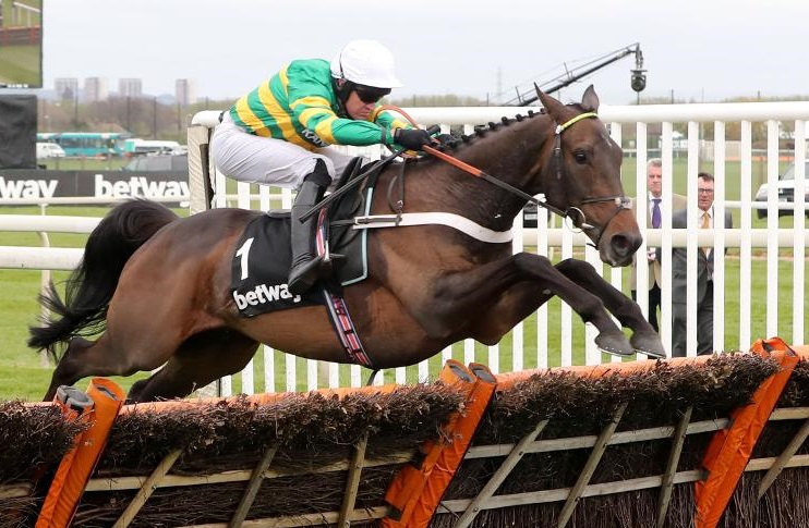 Inghilterra. A Newcastle facile primo piano di Buveur D’Air nelle Fighting Fifth Hurdle di primo grado, battuto il detentore della corsa Irving