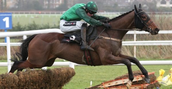 Irlanda. Footpad atteso a Santo Stefano nel Racing Post Novice Chase a Leopardstown, l’allievo di Willie Mullins opposto allo squadrone di Giggistown forte di Death Duty e Tombstone