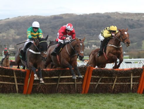 Inghilterra. Cheltenham in lutto per la tragica morte di Starchitect. Le International Hurdle vinte dal veterano My Tent Or Yours su The New One, le lacrime di Nicky Henderson nel post gara