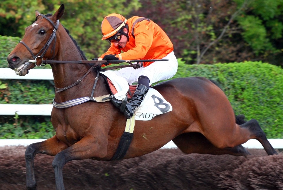 Italia. Mercoledì al Casalone chiusura con molti rimpianti. Splendida la giornata sugli ostacoli con la Gran Siepi di Grosseto, Grande Steeple Cross e Siepi d’Autunno per i tre anni, in pista molta qualità a garanzia di spettacolo