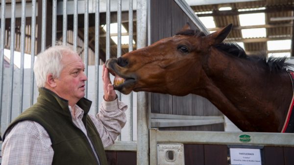 Inghilterra. Tizzard conferma Finian’s Oscar alle Cleeve Hurdle di questo sabato a Cheltenham