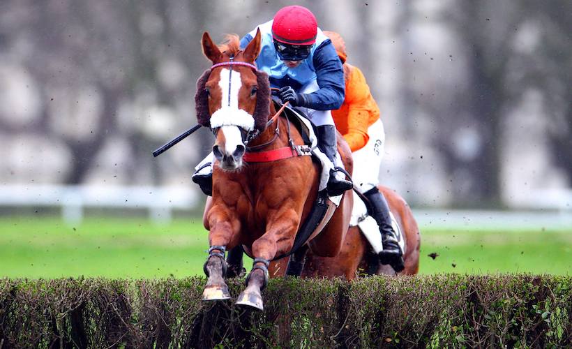 Francia. Domenica il Prix André Labarrère 131e Grand Prix de Pau-Biraben Foie Gras, dove Forthing cerca il double contro il top weight Palougas. Via Dolorosa, Tiesto D’Authie, Valtor e Galop Marin altri candidati al podio