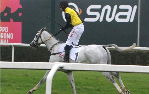 Italia. Domenica a San Siro chiusura spettacolare con Gran Siepi di Milano e Giulio Berlingeri. Nel gruppo uno sui 4000 metri in pista Champ de Bataille ed Aztek, fra i tre anni da rivedere l’interessante Time Fatal dominatore del Monte Stella