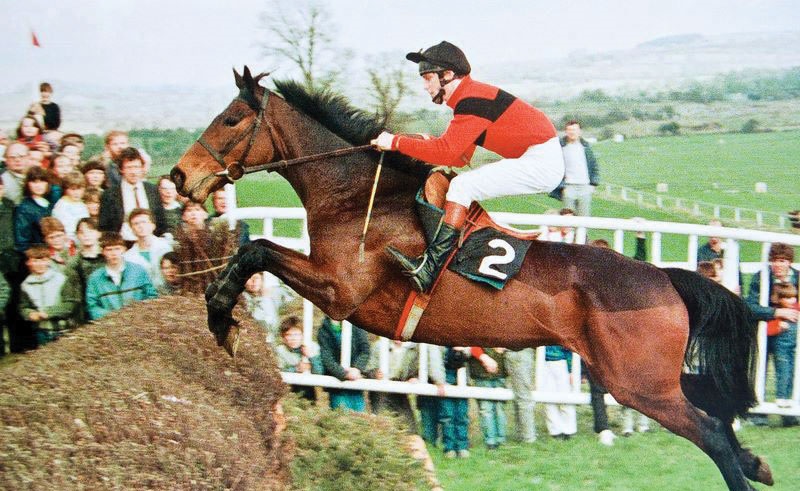 Irlanda. Willie Mullins non parte da favorito alla prossima Gold Cup, ma spera di emulare suo padre Paddy quando da allenatore vinse nel 1986 con Dawn Run. Il gestore di Closutton avrà in corsa Djakadam, Total Recall e Killutagh Vic