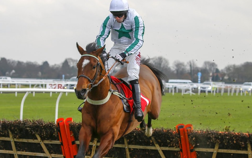 Inghilterra. Redicean top novices, l’allievo di Alan King si conferma nelle Adonis Juvenile resta imbattuto e guarda alle prossime JCB Triumph Hurdle di Cheltenham