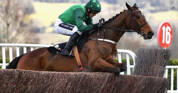 Irlanda. Ruby Walsh costretto all’ennesimo stop dopo la caduta a Cheltenham, spera di tornare per il prossimo festival di Punchestown in programma il 24 di Aprile