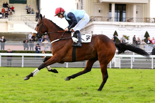 Francia. Whetstone promessa Bryant domina il Duc D’Anjou, la quattro anna sorella dei campioni Device e So French prenota una stagione in grande stile