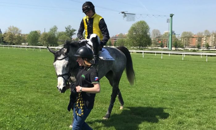 Italia. Domenica grande giornata sugli ostacoli a San Siro, si corrono Grande Steeple Chase di Milano, Corsa Siepi per i 4 anni, Martesana e lo spettacolare cross country sui 4000 metri. Nel gruppo uno tornano in pista il grigio Martinstar e il compagno campione in carica Broughton, nella siepi rivincita ‘Berlingeri’ fra Live Your Life e Arkalon