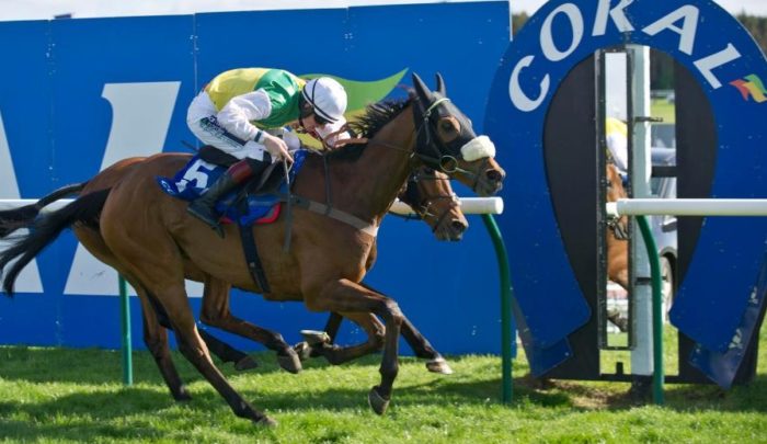 Inghilterra. Sabato l’attesissimo Coral Scottish Grand National Chase di Ayr, 4 miglia per 27 fences sulle quali cerca la storica impresa l’eroe delle ultime due edizioni Vicente