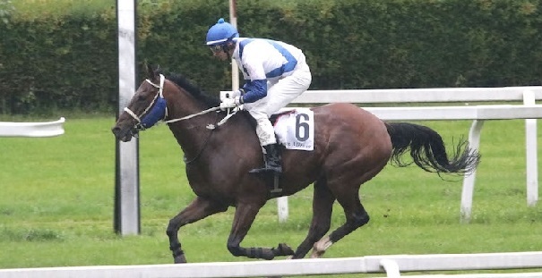 Italia. Chateaudemalmaison e Gabriele Agus attesi nell’apertura a Treviso, Opaleo torna nel cross country, Banjo’s Voice da battere fra i quattro anni