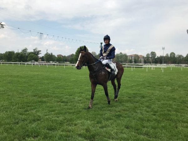 Italia. A Merano tre anni di buon livello nel Cermes sulla via Dei Giovani, molte le novità contro la coppia di Paolo Favero, Imperial Red – Watching Spirits. Nel Giulio Coccia si prepara il Grande Steeple Chase di Roma, una siepi e uno steeple chase a completare il programma