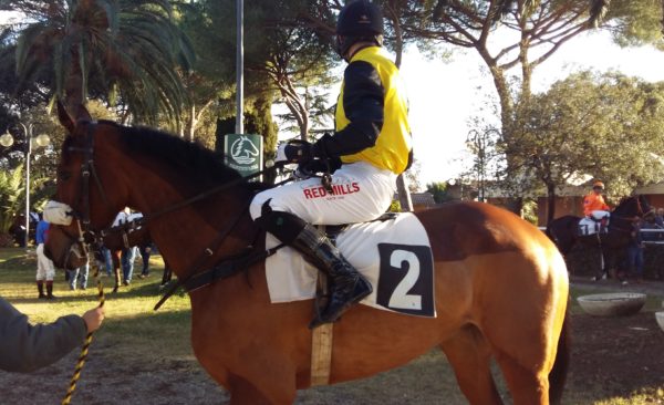 Italia. Nella riapertura a Merano, Ole Caballero vince in bello stile sullo steeple del Present Blue. Martello e Lord E gli altri protagonisti di giornata, doppio Vana