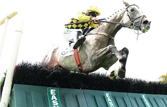 Irlanda. Galway seconda giornata, Willie Mullins ancora protagonista. La grigia Pakora vince la listed in apertura di programma con in sella Paul Townend; cade al primo ostacolo l’atteso Exchange Rate, nessun problema per Ruby Walsh