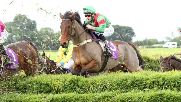 Nuova Zelanda. A Manawatu doppio appuntamento di metà stagione con l’Awapuni Hurdle e il Manawatu Steeples, in pista torna il campionissimo Wise Man Say, il vincitore di Great Northern Steeple Chase e Grant Plumbing Wellington Steeple Chase