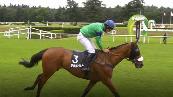 Francia. Attesa per il Grand Steeple Chase de Lignières, in pista il lanciato Darius de Bordes, contro il compagno L’Eauréate, Chimène d’Arthel e la novità Défi des Mottes