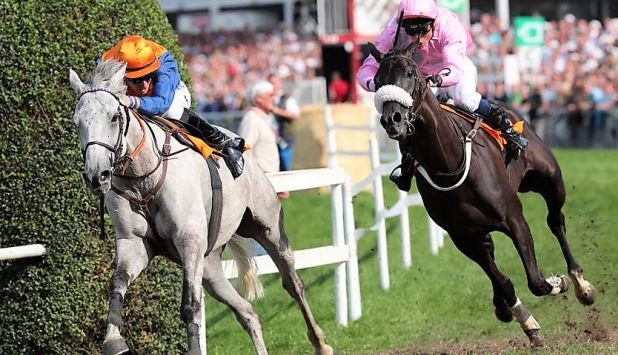 Belgio. Leggendario Taupin Rochelais, l’allievo di Patrice Quinton vince per il quarto anno consecutivo il Grand Steeple Chase des Flandres battendo l’italiano Defit D’Estruval protagonista di una gara superlativa