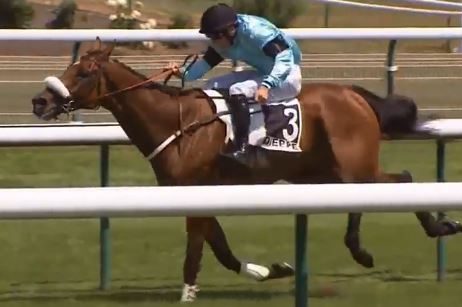 Francia. Domenica a Craon il Grand Steeple Chase du Conseil Départemental de la Mayenne, Macaire in pista con Abakhan vincitore a Dieppe, Nicolle punta su Hurkhan, in pista anche il lanciato Il S’envole