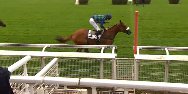 Francia. Auteuil, Uno due Papot nel Prix de Compiégne, Galop Marin precede Dalia Grandchamp e The Stomp, quarto Saint Tourgeon. Nell’Hennessy Saint Goustan Blue respinge Roxinéla