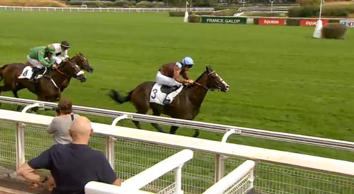 Francia. Ad Auteuil un super Mozo Guapo, l’allievo dei Lerner dice no all’attesa Cicalina. Nel Prix des Platanes bel primo piano del tre anni Pic D’Orhy avanti a Matfog