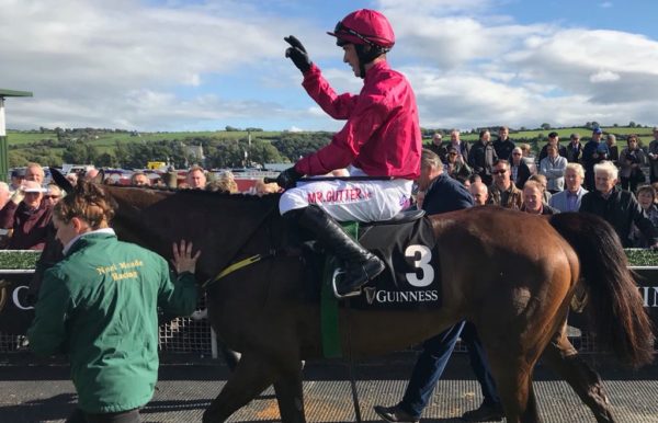 Irlanda. Snow Falcon con un brivido finale batte Saturnas nel Kerry National di Listowel, terzo l’atteso Rogue Angel avanti a Dell’Arca