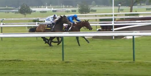 Francia. Auteuil, verso il Maurice Gillois c’è il Prix Triquerville con la coppia di Francois Nicolle Blasimon – Eddy Blues. Da seguire in giornata il Prix Santo Pietro con il neo portacolori italiano Skins Rock, allievo di Luigi Maceli per la Tenuta dei Principi