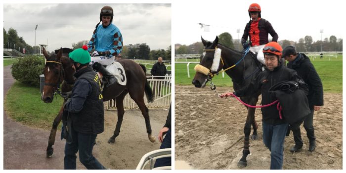 Italia. Milano, Company Of Ring forma al diapason vince in grande stile il Lainate. Au Piede Leve si conferma nel Tagliabue battendo San Siro e Padrinho; nel cross country è tornata la Regina Vanessa del Cardo, bravo Daniele Tonelli in coast to coast