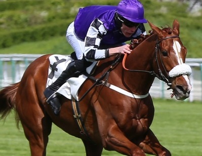 Francia. L’eroe del Merano Le Costaud torna in pista giovedì nel Grand Steeple Chase de Compiègne, contro avversari di tutto rispetto come Roi Mage e Palougas il vincitore della scorsa edizione