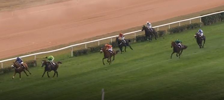 Francia. Provokator in stile Macaire vince la Grand Course de Haies de Bordeaux, bravissima in sella la veterana Nathalie Desoutter. Secondo l’outsider Real Keeper avanti al vivace Zeaudiak