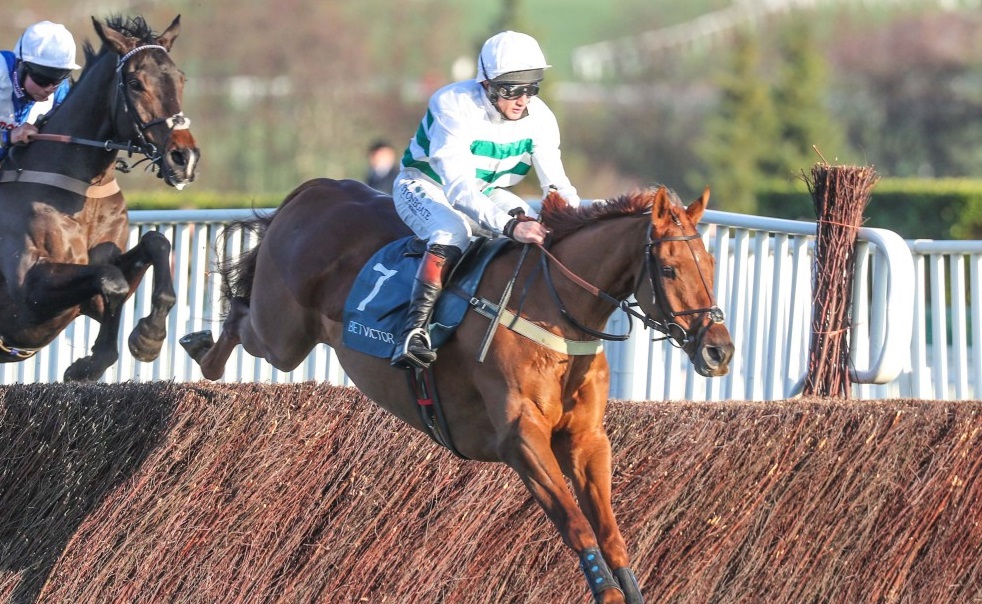 Regno Unito. Voix Du Reve vince la Craddockstown a Punchestown, Paul Nicholls ed Harry Cobden doppio nel sabato di Cheltenham. La Bet Victor Gold Cup vinta da Baron Alco, tripla per Paddy Brennan. Rientro ad hoc per Coneygree