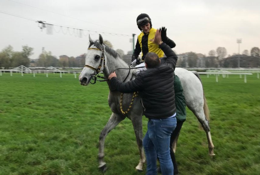 Italia. San Siro. Epilogo emozionante nella Gran Siepi di Milano, Champ de Bataille conserva il titolo precedendo dopo finale rovente il ceco Aztek e Mezajy. Mensch domina il Giulio Berlingeri