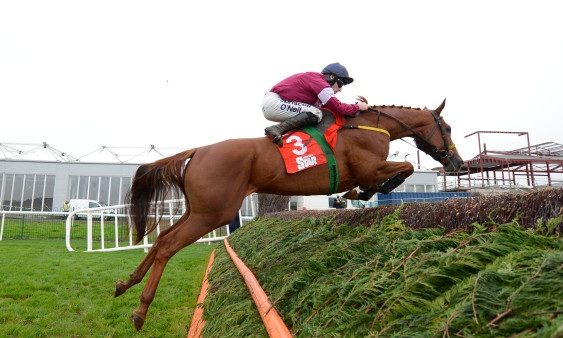 Inghilterra e Irlanda del Nord. Road To Respect domina il Jnwine Champion Chase di Down Royal. Ad Ascot splendido Traffic Fluide nella Sodexo, Definitly Red con determinazione nella Charlie Hall Chase di Wetherby