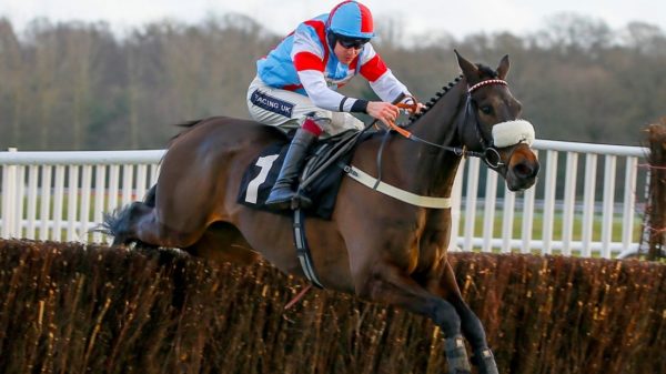 INGHILTERRA. Sabato una bella edizione della Ascot Chase di Gr1, in pista Saint Calvados per il champion trainer Paul Nicholls. Joseph O’Brien ha annunciato la presenza dell’irlandese Fakir D’Oudaries, Nicky Henderson al via con Mister Fisher, in lista d’attesa anche il detentore del titolo Dashel Drasher