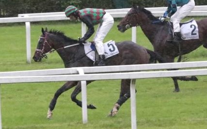 Italia. Treviso, Panta Rhei batte in volata batte Nando e Lord Sholokhov nel clou al Sant’Artemio, Star Maker ok sullo steeple, netto Vibes fra i quattro anni