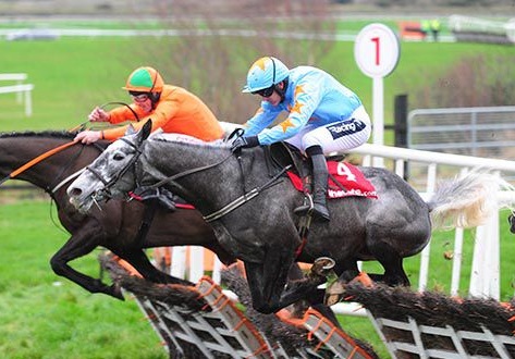 IRLANDA. Bachasson splendido successo a Naas nel Gr 2 della Limeston Lad Hurdle, l’allievo di Willie Mullins ha ottenuto la quarta vittoria consecutiva in stagione, terza in una prova di gruppo e quattordicesima in carriera