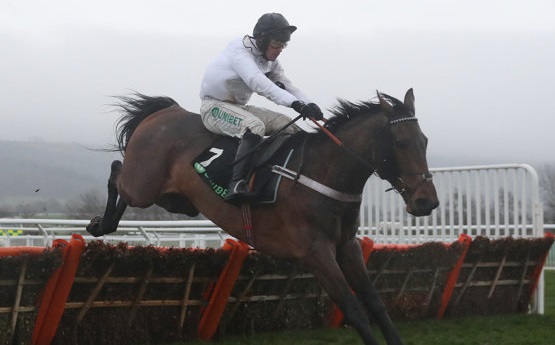 Inghilterra. Bell’assunto di Brain Power nella Unibet International Hurdle di Cheltenham, l’allievo di Nicky Henderson torna a volare sugli ostacoli bassi dopo una proficua parentesi sullo steeple